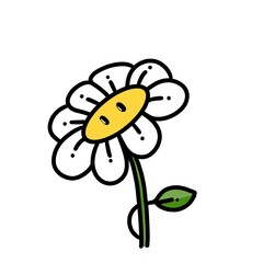 flower illustration 