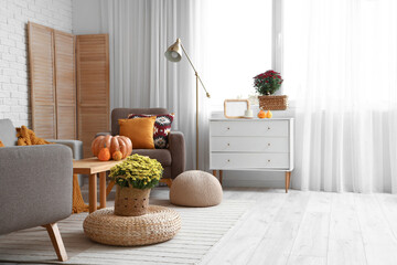 Interior of stylish living room with beautiful autumn flowers, pumpkins on coffee table and brown...