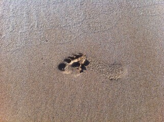 North Atlantic footprint in sand from Ireland
