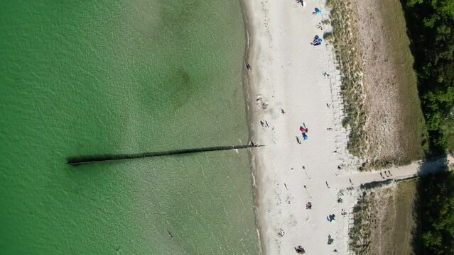Buhne in Zingst, Darss, Deutschland