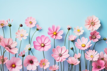 Fototapeta na wymiar Pink spring flowers on blue background