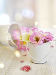 pink flowers in a cup