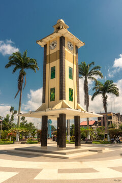 tree in the park Madre de Dios Per&uacute;	