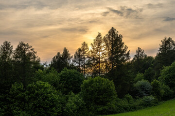 In the foreground is the edge of a meadow with bushes and coniferous trees. In the background is a dramatic sky with a setting sun.
