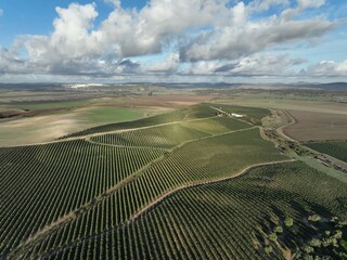 Plantage in Spanien aus der Luft