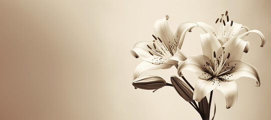 Retro Lily Flowers Background, Sympathy Card with Copy Space - obrazy, fototapety, plakaty
