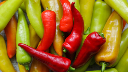 Bright colorful sweet peppers full frame background