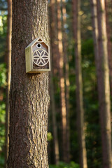 Little bird nest in a birdhouse on a brown pine tree in a countryside forest at summer season.