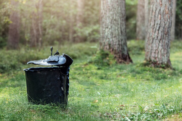 Artistic iron garbage bin, black trash can in the forest. Forged metal waste bin for mix trash and...
