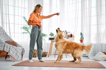 A beautiful stylish woman in jeans and an orange shirt is training her dog at home. A beautiful...