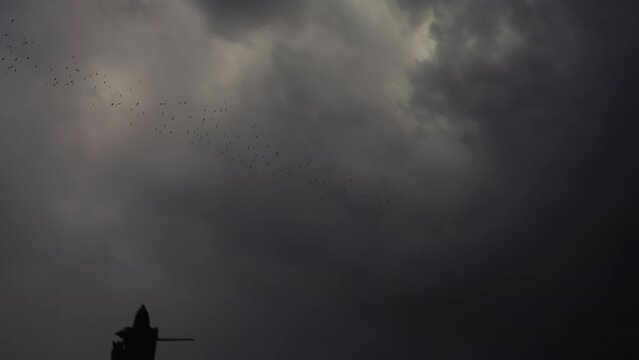 Dark stormy weather: Massive bird flock flying high near clouds
