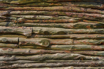 Fototapeta na wymiar Wood textured surface. Wall made of wooden slats