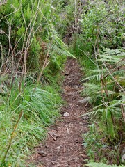Wege bei El Paso auf La Palma