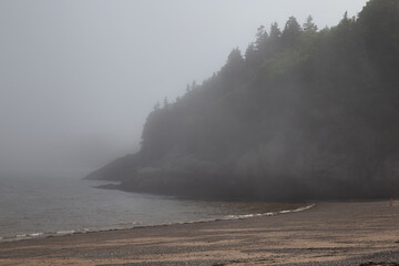 Bay of Fundy Beach