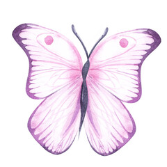 pink butterfly Watercolor colorful butterflies, isolated on white background. pink and lilac butterfly spring illustration Butterfly. Element for design, cards, spring web