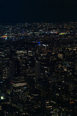 Obraz premium New York City Skyline, buildings, architecture and people at night