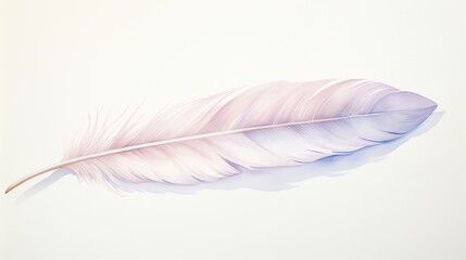 a colorful feather on a white background