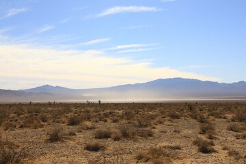 Did lake bed in the desert 