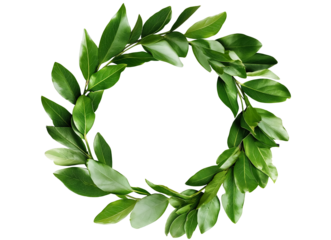 Green wreath with leaves on white transparent background. Wreath made of branches.  Spring composition. Flat lay, top view, copy space.