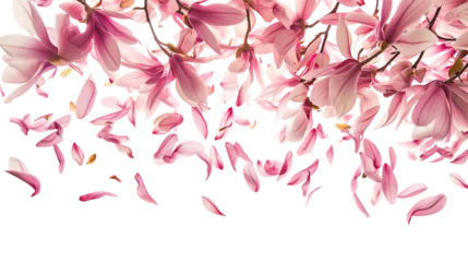 Foto auf Leinwand Spring season magnolia flowers petals falling © SRITE KHATUN