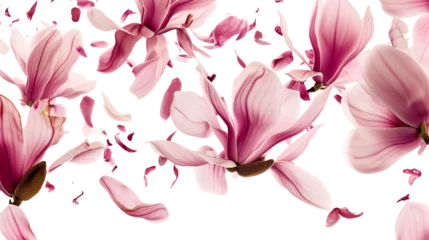 Fotobehang Spring season magnolia flowers petals falling © SRITE KHATUN