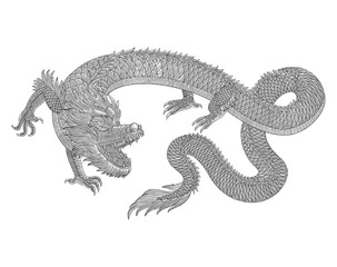 Angry Japanese dragon , vintage engraving drawing style illustration
