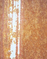 Texture background metal doors different types of rusted metal door