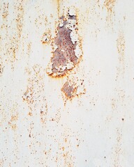 Texture background metal doors different types of rusted metal door