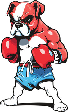 boxer dog with gloves