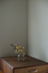 光に照らされる花瓶に入れたドライフラワー