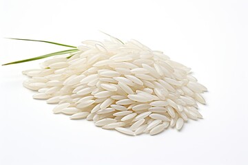 Obraz premium Rice ear in close up on white