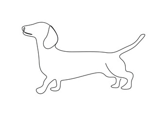 Continuous one line drawing of cute dachshund dog for logo identity. Isolated on white background vector illustration. Pro vector. 