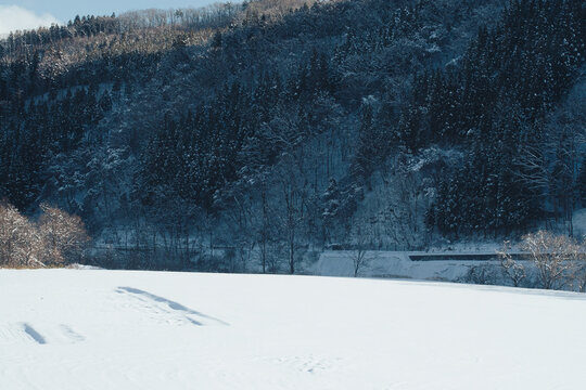 snow covered mountains