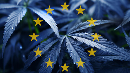 In Bezug auf die Flagge der Europäischen Union (EU), Cannabispflanzen in Blau mit den Sternen der EU-Flagge im Vordergrund. Themenbezug ist die Cannabislegalisierung in der EU.  - obrazy, fototapety, plakaty