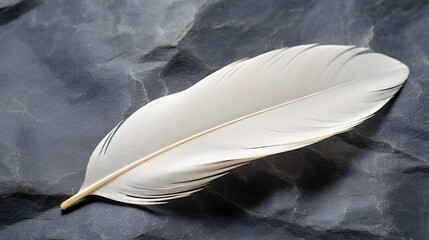 A creamy white feather rests on a bed of dark gray stones, symbolizing the contrast between light and darkness in both individuals and relationships.