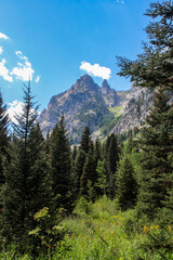Teton National Park Views