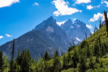 Teton National Park Views