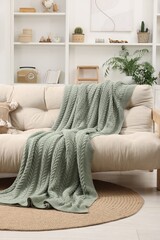 Comfortable sofa with green blanket in living room