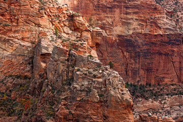 Canyon Wall Details at Zion National Park