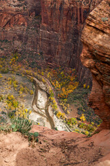 Fototapeta na wymiar Virgin River Valley View in Zion National Park