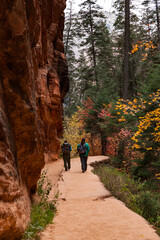 Fototapeta premium Hikers on a Trail at Zion National Park