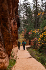 Fototapeta na wymiar Hikers on a Trail at Zion National Park
