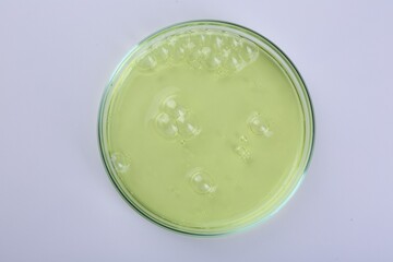 Petri dish with color liquid sample isolated on white, top view