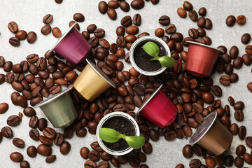 Coffee capsules with seedlings and beans on light grey table, flat lay