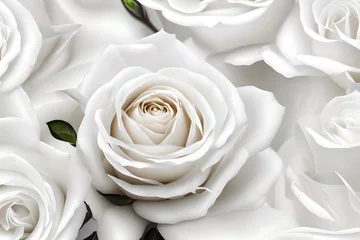 Fotobehang white rose on a white background © Malik