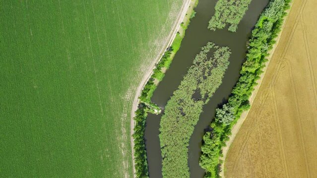 Pond with reedbed in the middle separating green and golden agricultural fields