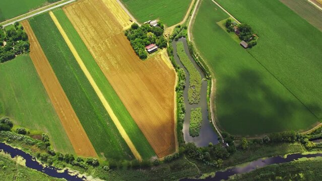 A shinning pond surrounded with yellow and green agricultural fields
