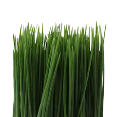 Artificial green grass, cut out isolated