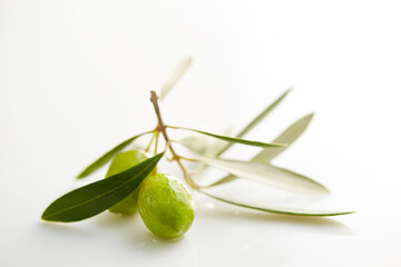 olives on a branch