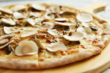 Pizza with truffle mushrooms and cheese	